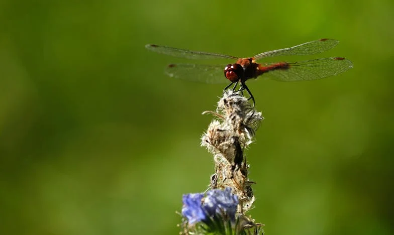 Kad ljubav pukne: Priča o izdaji, ponosu i novom početku