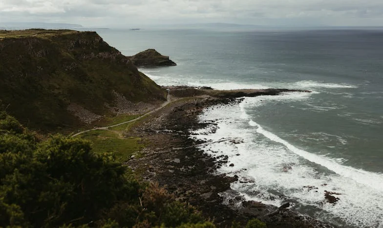 Kad prijateljstvo izgori na roštilju: Priča o izgubljenom povjerenju