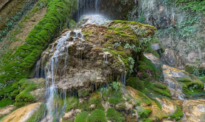 Kad se smijeh pretvori u tišinu: Priča o izdaji i novom početku