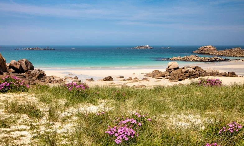 Ljeto koje je promijenilo sve: Moja svekrva, moj brak i ja