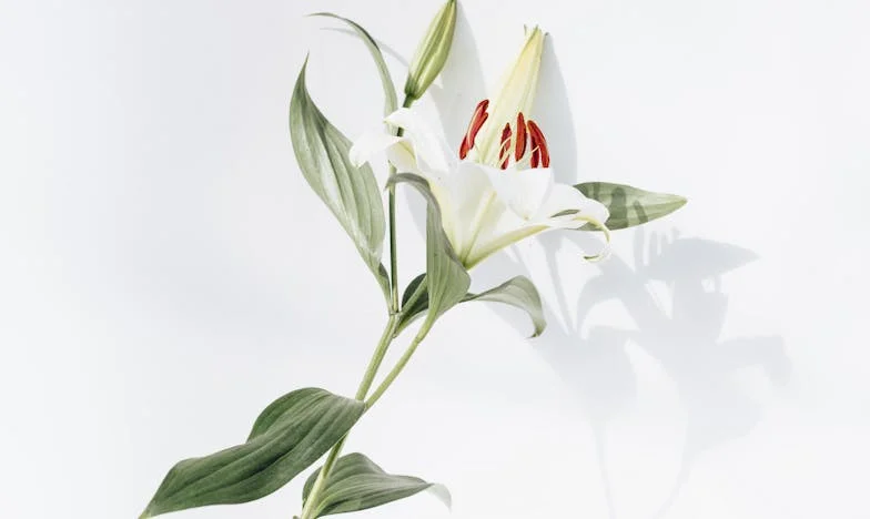 Majčina Istina: Što Se Zaista Dogodilo Kad Je Damir Otišao