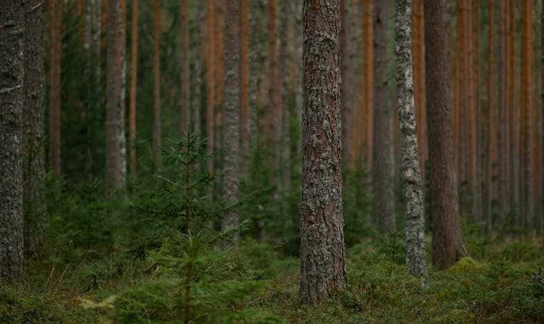Moj sin oženio ženu s djetetom: Kako smo postali prava obitelj