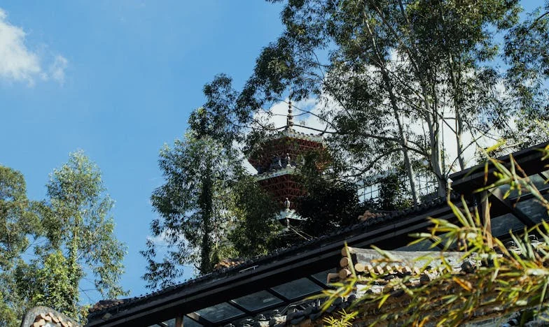 Obitelj me tjerala da se udam za Ivana, ali zaboravili su ono najvažnije