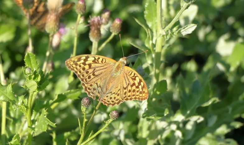 "Ovo je stan mog sina, a ti si ovdje nitko" – Priča koja mi je promijenila život