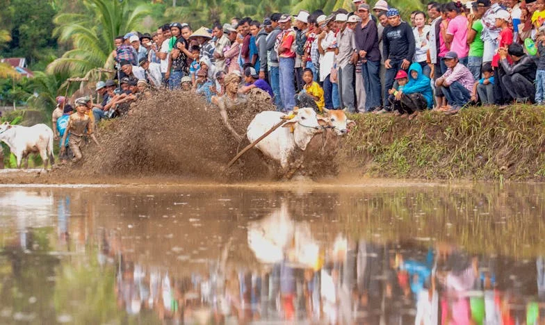 Sve što sam znala bila je laž: Istina iza pogreba moga muža