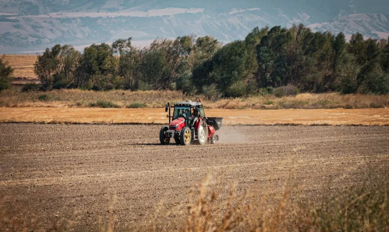 U sjeni majke – Priča o raspadu jedne obitelji iza zatvorenih vrata