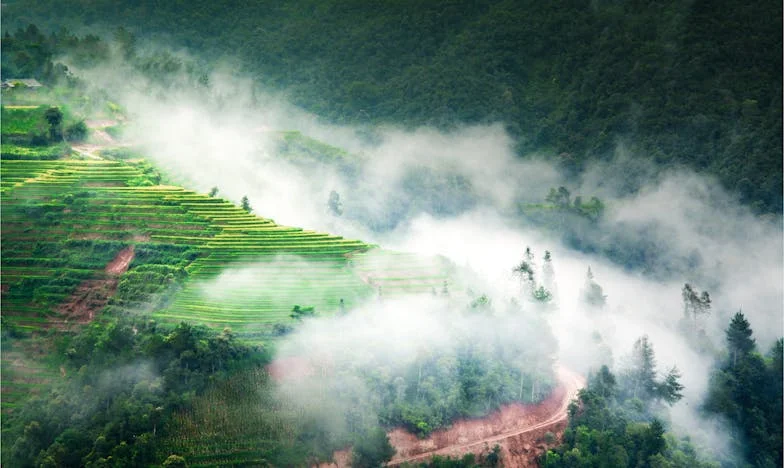 U sjeni svekrve – Ispovijest jedne majke o težini pomoći