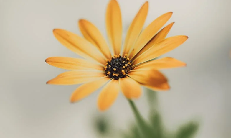 „Ustani i skuhaj mi kafu!” – Kako je moj šogor uništio našu obiteljsku idilu i zašto mu moj muž to nikada nije zamjerio