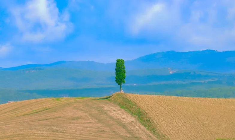 Baka Mara na svadbi – 102 godine ljubavi i boli