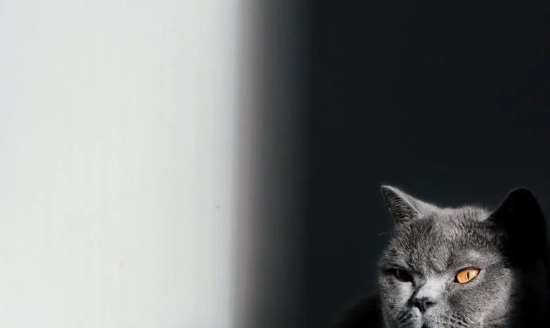 Dnevnik moje majke: Istina koja je promijenila sve