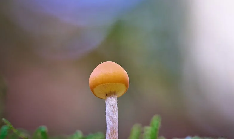 „Imam dijete s vašim mužem“: Priča o izdaji, oprostu i snazi žene