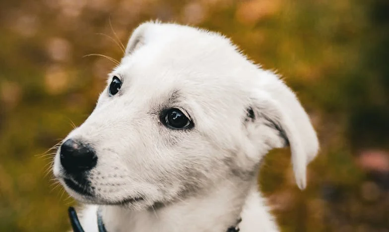 „Imam samo jednog unuka!” – Priča o odbacivanju, obiteljskim sukobima i borbi za prihvaćanje
