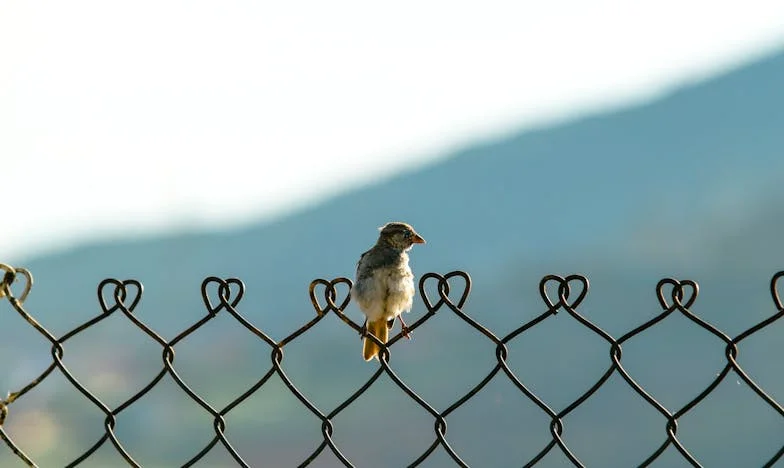 Istina iza šutnje: Kad sumnja postane stvarnost