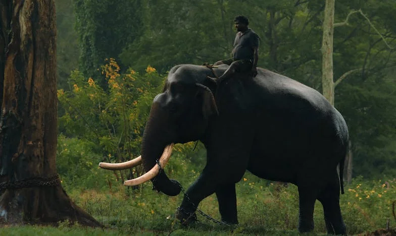 Između ljubavi i ponosa: Kad obitelj postane bojište