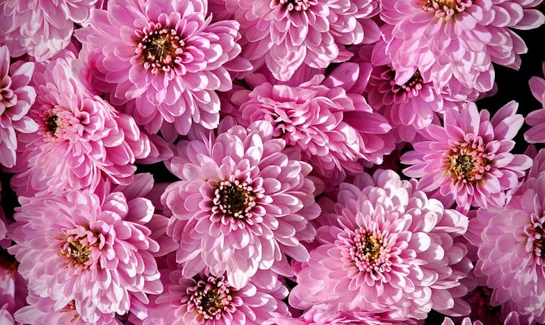 Između Tišine i Suza: Moja Priča Majke Nakon Rastave