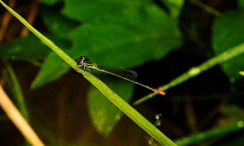 Je li briga o djetetu stvarno 'samo' obaveza? Kako sam tražila od muža da mi plati za odgoj naše kćeri