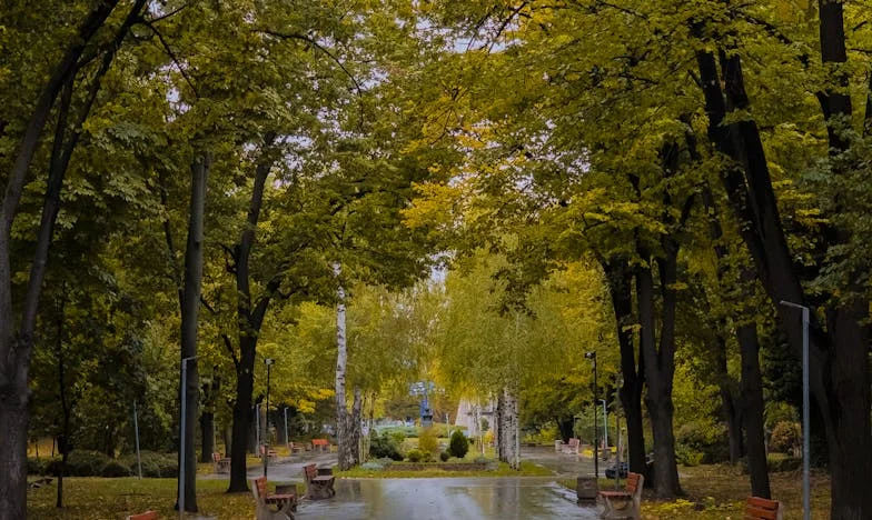 Jesam li zaista uvijek bila ta zla svekrva?