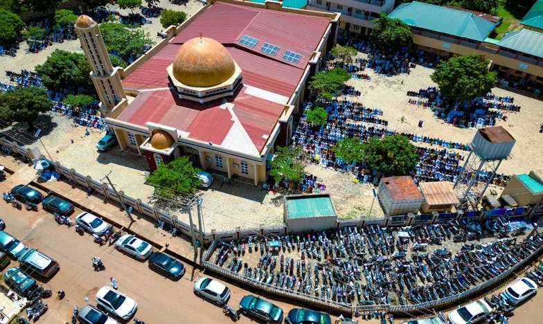 Kad dom više nije dom: Između snahe i kćeri