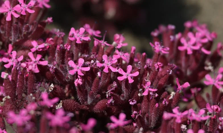 Kad prijateljstvo zaboli: Priča o povjerenju, izdaji i ponovnom pronalasku sebe