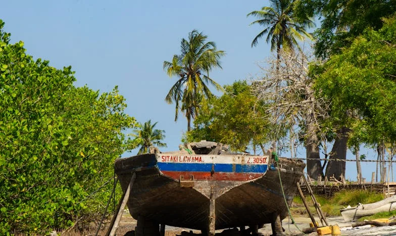 Kad sve nestane: Kako sam pronašla sebe nakon trideset godina braka