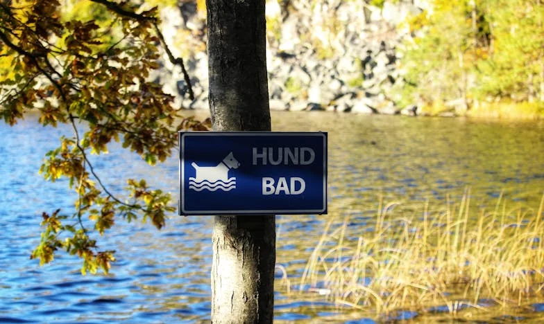 Majčina teška ljubav: Dvije kćeri, jedna trudna, druga s djetetom