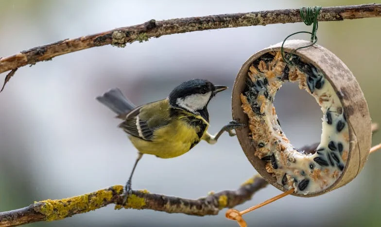 Moj sin Ivan se oženio u Njemačkoj, a nas nije ni pozvao: Može li se porodica obnoviti nakon takve izdaje?
