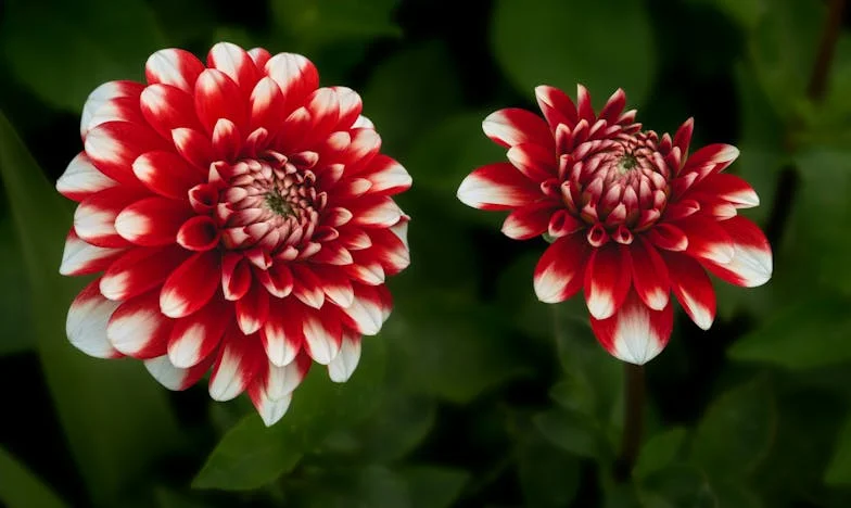 Moj sin, moj stranac: Istina koju nisam željela znati