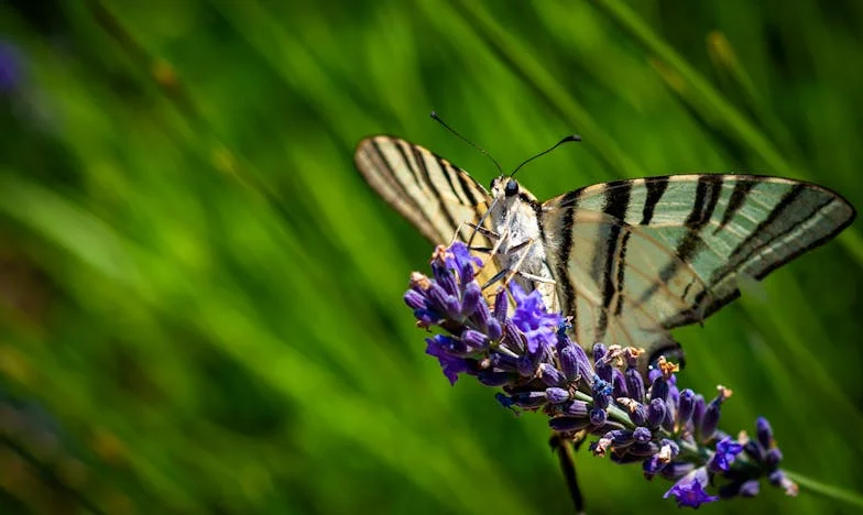 Na rubu tame: Priča o Lejlinom putu kroz bolest i obiteljsku tišinu