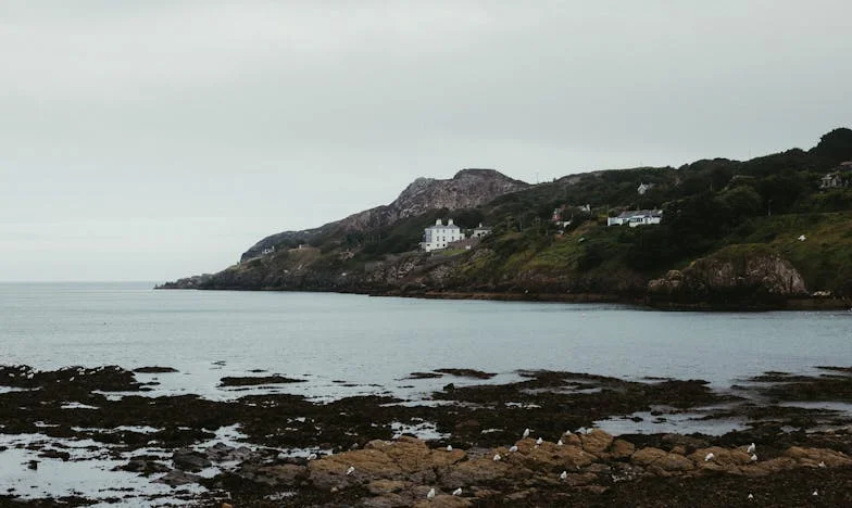Ne još jedna soba za moju svekrvu: Kuća, borba i granice ljubavi