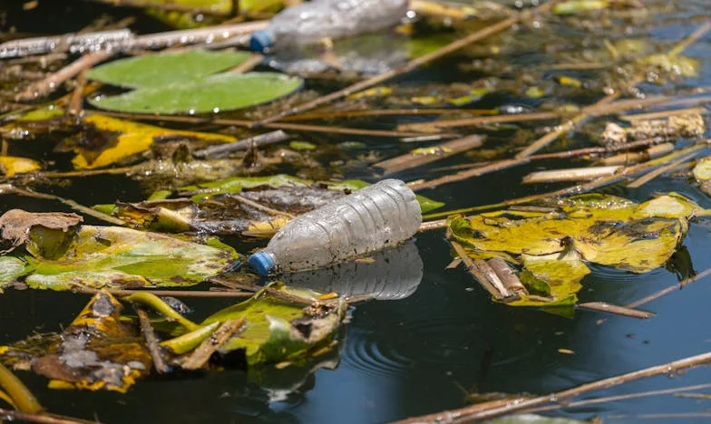 Nezvani gost: Kad susjedstvo postane bojno polje povjerenja