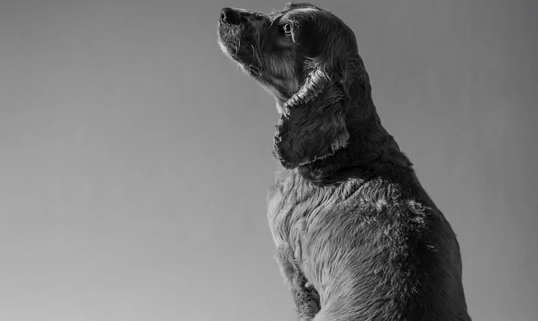 Nisam znala da moj muž plaća dugove svoje bivše žene – priča koja mi je promijenila život