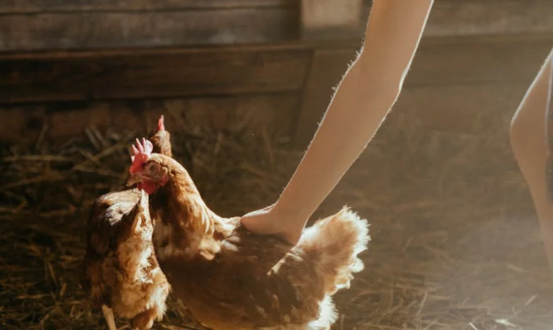 Noć Kad Se Sve Promijenilo: Život u Sjeni Nepovjerenja