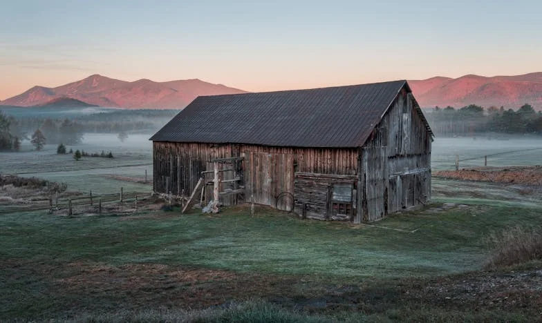 Novi početak: Kako sam pronašao dom kad su svi već prestali vjerovati