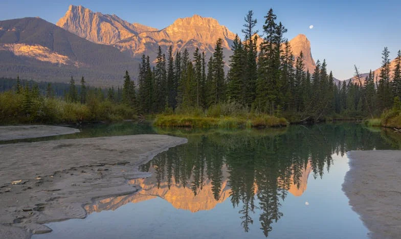 Opasina naslijeđa: Testament koji je razbio moju obitelj