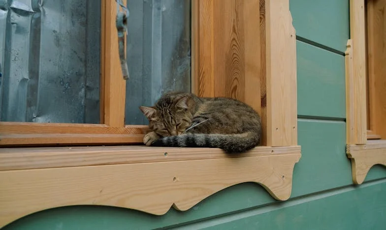 Pepel i ožiljci: Priča o Marini s mostarskog blokovskog naselja