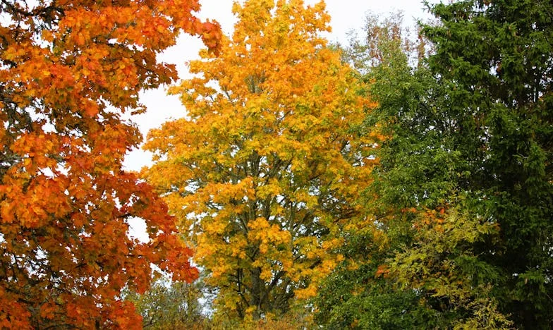 Proljetno Čišćenje Koje Je Skoro Uništilo Moj Brak