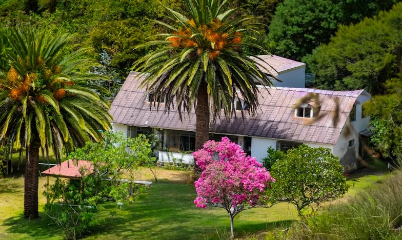 Sinova Tajna: Koliko Košta Majčina Ljubav?