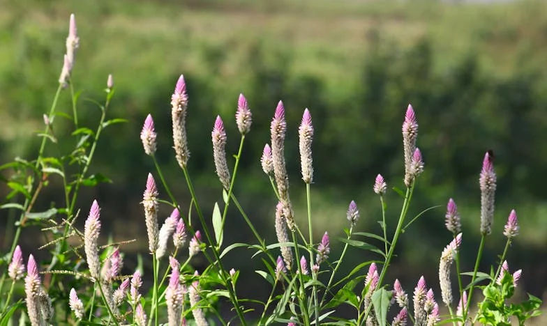 Snaga u Oluji: Kako Sam Naučila Vjerovati Kad Nitko Drugi Nije