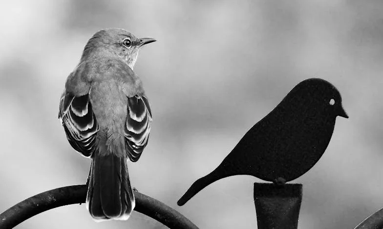 Tajna krvi: Biologija, koja mi je promijenila život