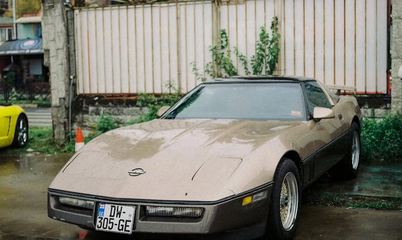 Testament u Fioci: Priča o Izneverenoj Ćerki