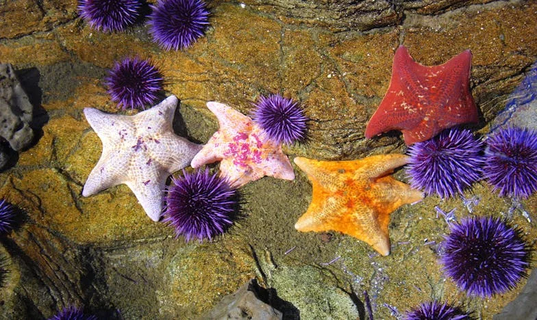 Tišina između nas: Priča o Ani, majci koja je čekala povratak sina