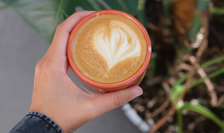 Vila na brdu, kredit na duši: Moja borba za dom i dostojanstvo u sjeni bogatih svekra i svekrve