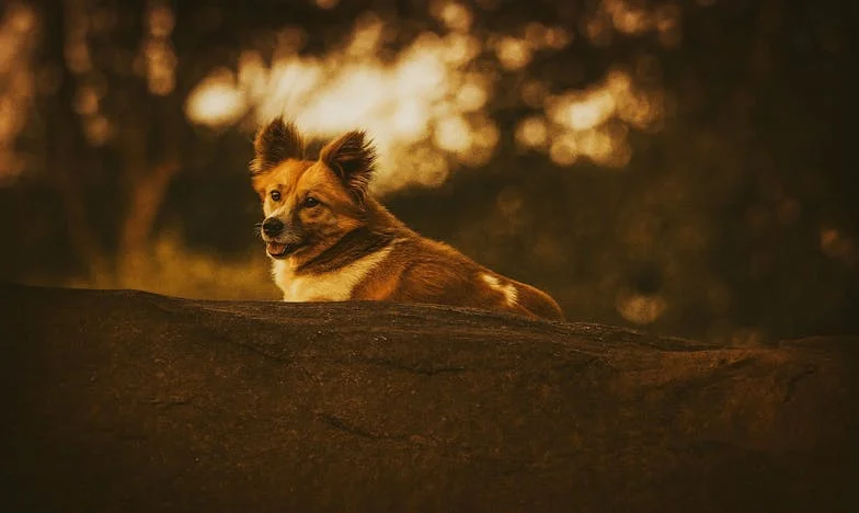 Anonimna poruka na moj rođendan: Istina koja je promijenila sve