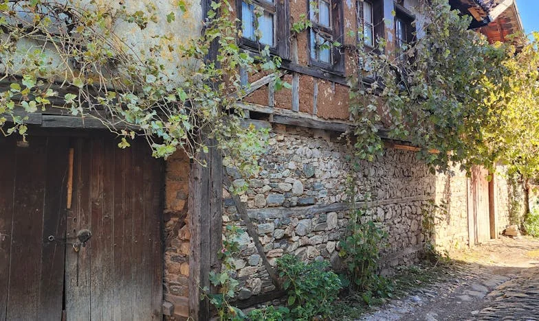 „Baba, mama je rekla da moraš u dom”: Priča o porodici, starosti i istini koja boli