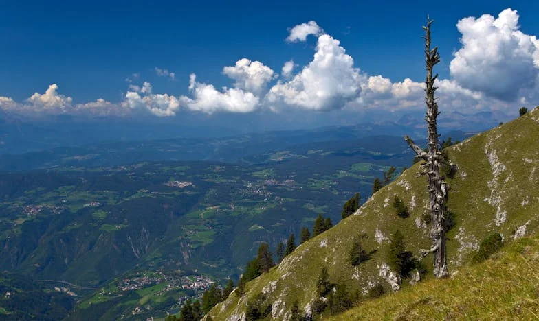 Bez kolijevke, bez pelena: Povratak kući u haos