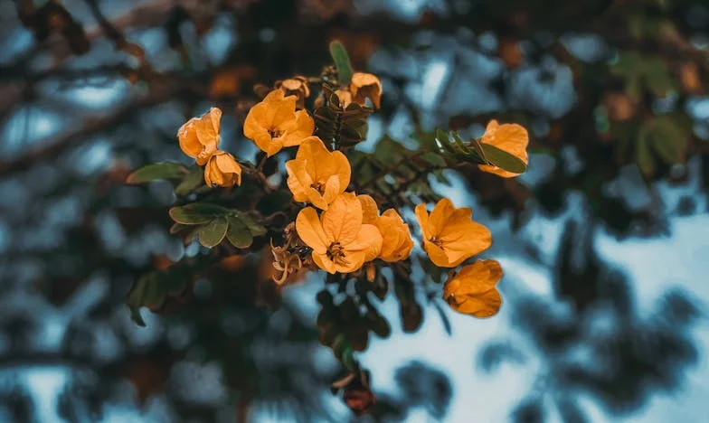 Bivša svekrva traži pola novca od prodaje stana – Moja borba za vlastiti život