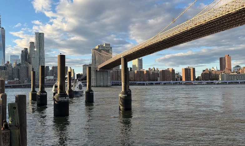 Ispod istog krova: Priča o ocu, sinu i tišini koja boli