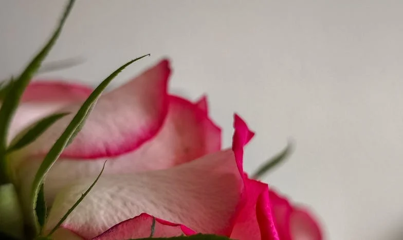 Je li ljubav dovoljna kad novac nestane?