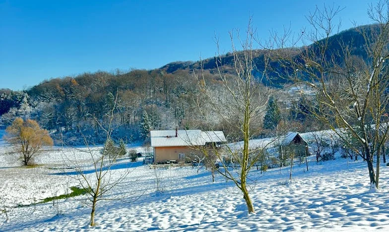 Kad je bolest moje kćeri otkrila porodičnu tajnu: Priča jednog oca iz Sarajeva