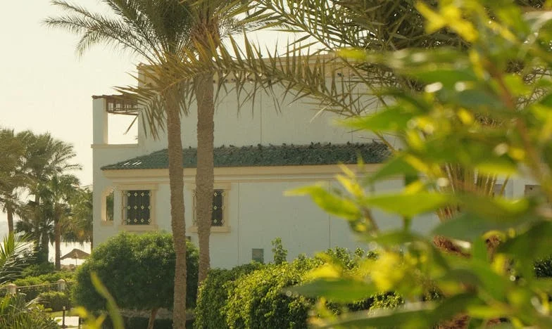 Kad ti dom postane tuđi: Priča o granicama, ljubavi i borbi za vlastiti mir